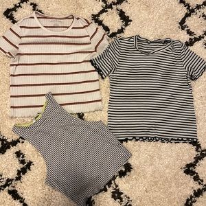 American eagle crop lot